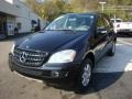 Black - ML 350 4Matic Photo No. 23