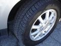 2006 Buick Rendezvous CXL Wheel and Tire Photo