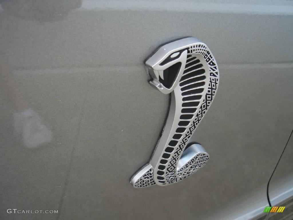 2009 Mustang Shelby GT500 Coupe - Vapor Silver Metallic / Black/Black photo #11