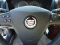 Light Platinum - CTS Sedan Photo No. 35