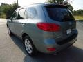 2007 Platinum Sage Hyundai Santa Fe Limited  photo #3