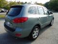 2007 Platinum Sage Hyundai Santa Fe Limited  photo #13