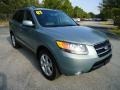 2007 Platinum Sage Hyundai Santa Fe Limited  photo #15