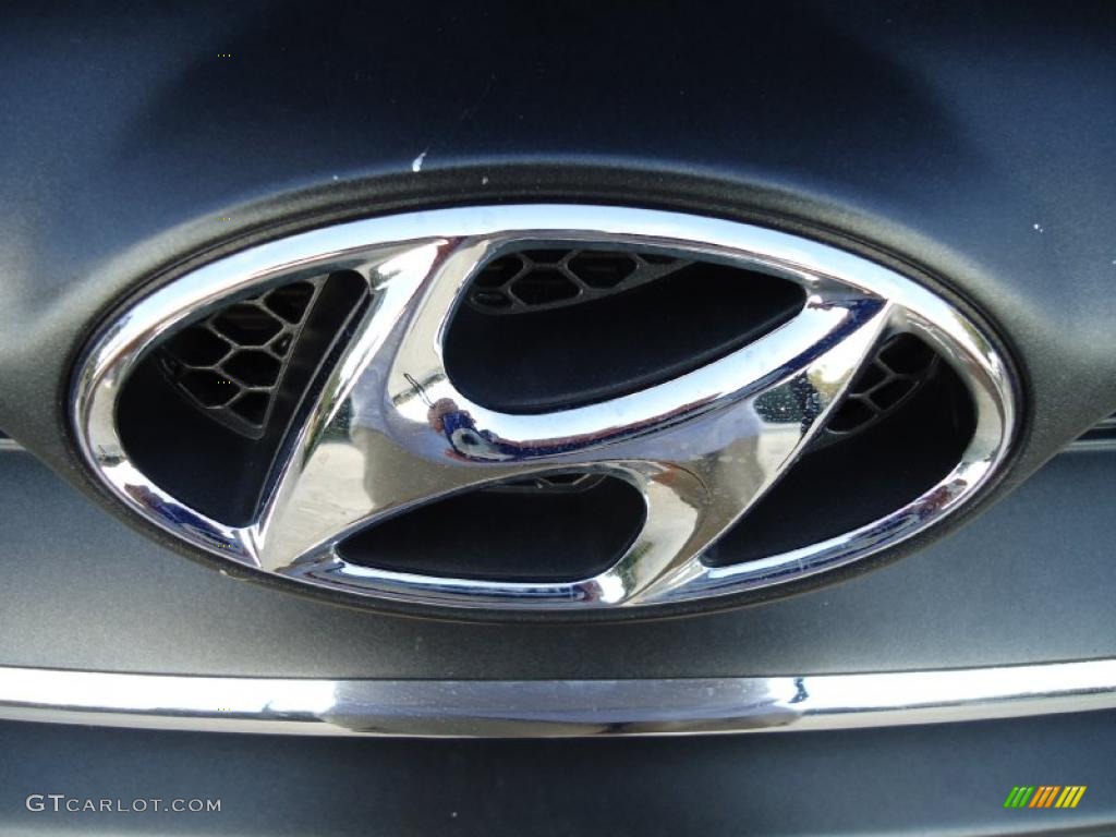 2007 Hyundai Santa Fe Limited Marks and Logos Photo #37981468