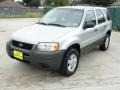 2003 Satin Silver Metallic Ford Escape XLS V6  photo #7