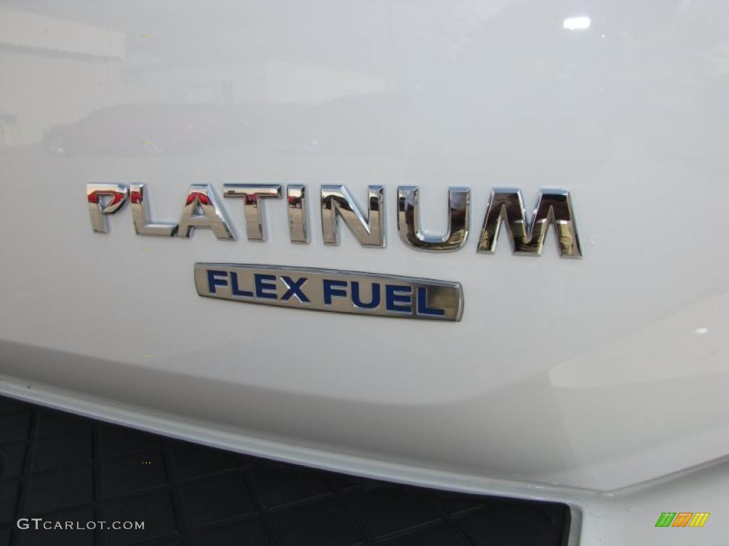 2010 Nissan Armada Platinum Marks and Logos Photo #37990333