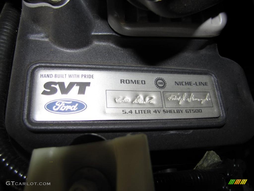 2010 Ford Mustang Shelby GT500 Coupe Info Tag Photo #37990753