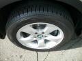 Platinum Bronze Metallic - X3 3.0si Photo No. 32