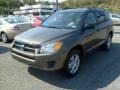 Pyrite Metallic - RAV4 I4 4WD Photo No. 3