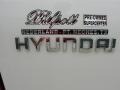 2008 Cosmic White Hyundai Entourage GLS  photo #21