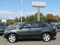 Flint Mica - RX 330 AWD Photo No. 3
