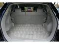 Gray Trunk Photo for 2010 Nissan Rogue #38004166