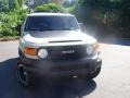 2010 Sandstorm Toyota FJ Cruiser Trail Teams Special Edition 4WD  photo #2