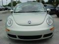 White Gold Metallic - New Beetle 2.5 Blush Edition Convertible Photo No. 15