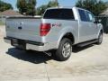 2010 Ingot Silver Metallic Ford F150 FX2 SuperCrew  photo #3