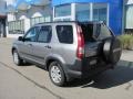 2005 Pewter Pearl Honda CR-V EX 4WD  photo #4