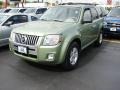 Kiwi Green - Mariner Hybrid Photo No. 2