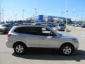 Bright Silver - Santa Fe GLS 4WD Photo No. 8
