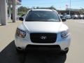 Bright Silver - Santa Fe GLS 4WD Photo No. 10