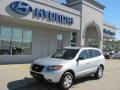 Bright Silver - Santa Fe GLS 4WD Photo No. 1