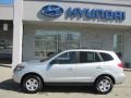 Bright Silver - Santa Fe GLS 4WD Photo No. 3