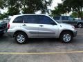 Titanium Metallic - RAV4  Photo No. 2