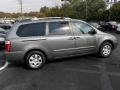 2010 Titanium Silver Kia Sedona LX  photo #5