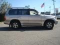 Thunder Cloud Mica - Land Cruiser  Photo No. 7
