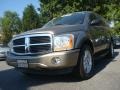 2006 Light Khaki Metallic Dodge Durango SLT  photo #1