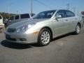 Millennium Silver Metallic - ES 330 Photo No. 2