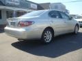 Millennium Silver Metallic - ES 330 Photo No. 6