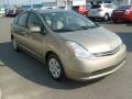 Driftwood Pearl - Prius Hybrid Photo No. 10