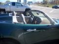 Envious Green - Solstice Roadster Photo No. 13
