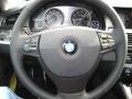 Black 2011 BMW 5 Series 528i Sedan Steering Wheel