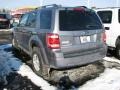 2008 Tungsten Grey Metallic Ford Escape XLT V6  photo #6