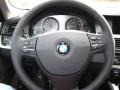 Black Steering Wheel Photo for 2011 BMW 5 Series #38044583