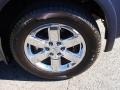 2010 Nissan Armada Platinum 4WD Wheel and Tire Photo