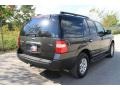 Carbon Metallic - Expedition XLT Photo No. 3