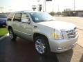 Silver Lining Metallic - Escalade Platinum AWD Photo No. 3