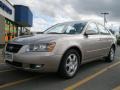 Golden Beige - Sonata LX V6 Photo No. 1