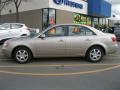 Golden Beige - Sonata LX V6 Photo No. 9