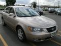 Golden Beige - Sonata LX V6 Photo No. 14