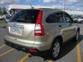 2007 Borrego Beige Metallic Honda CR-V EX 4WD  photo #2