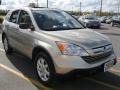 2007 Borrego Beige Metallic Honda CR-V EX 4WD  photo #16