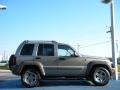 Light Khaki Metallic - Liberty Renegade Photo No. 6
