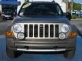Light Khaki Metallic - Liberty Renegade Photo No. 8