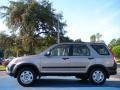 Sahara Sand Metallic - CR-V LX Photo No. 2