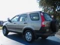Sahara Sand Metallic - CR-V LX Photo No. 3