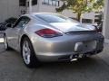Arctic Silver Metallic - Cayman  Photo No. 5