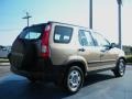 Sahara Sand Metallic - CR-V LX Photo No. 5